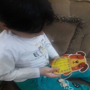 دوخت و دوز حیوانات